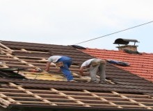 Kwikfynd Roof Conversions
woodlane